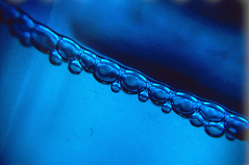液体洗涤剂颜色分析如何提高稳定性和性能